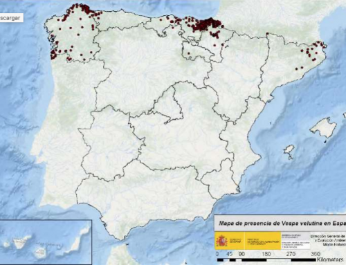 Mapa de la presencia de Velutina en España y Asturias